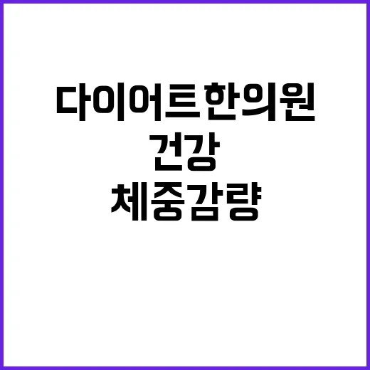 다이어트한의원에서 건강하게 체중 감량하는 방법 - 요약