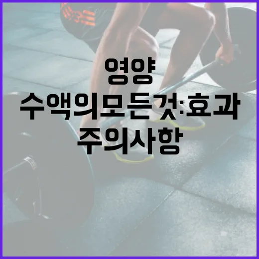 영양수액의 모든 것: 효과와 주의 사항 알아보기 - 요약