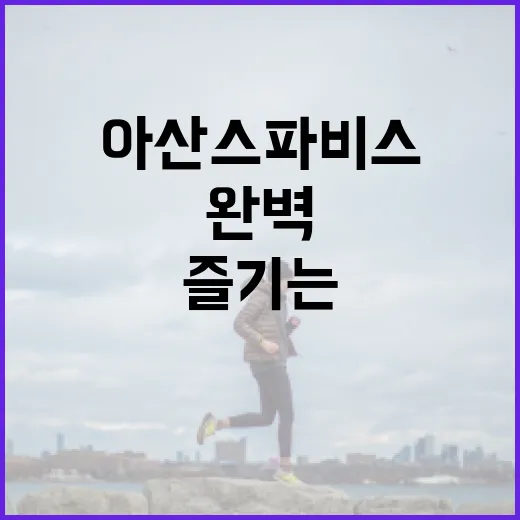 아산스파비스에서 즐기는 완벽한 하루 보내기 - 요약