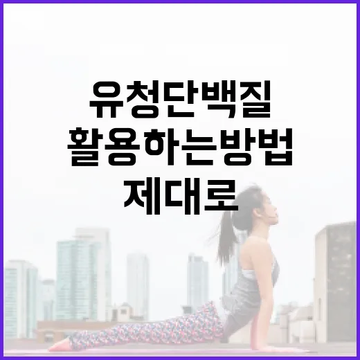 유청단백질 제대로 활용하는 방법 - 요약