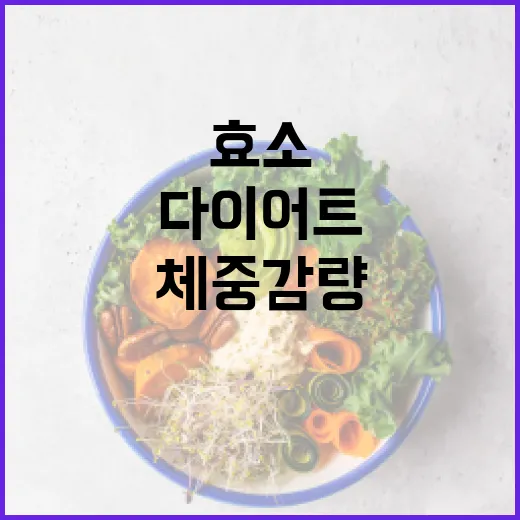 다이어트효소로 건강하게 체중 감량하는 법 - 요약