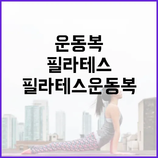 필라테스 운동복, 어떻게 선택할까? - 요약