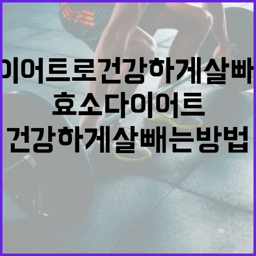 효소다이어트로 건강하게 살 빼는 방법 - 요약