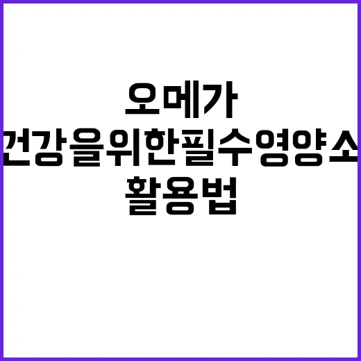 오메가3, 건강을 위한 필수 영양소 활용법 - 요약