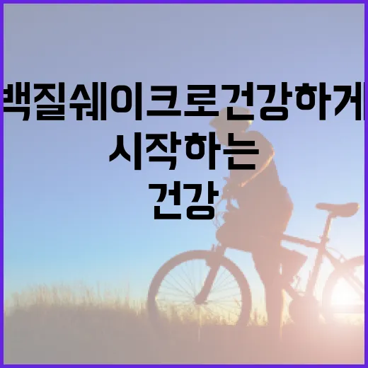 식물성 단백질 쉐이크로 건강하게 시작하는 방법 - 요약