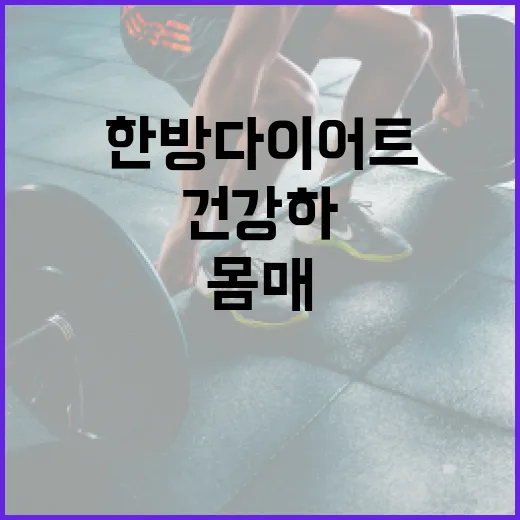 한방다이어트로 건강하게 몸매 관리하는 방법 - 요약