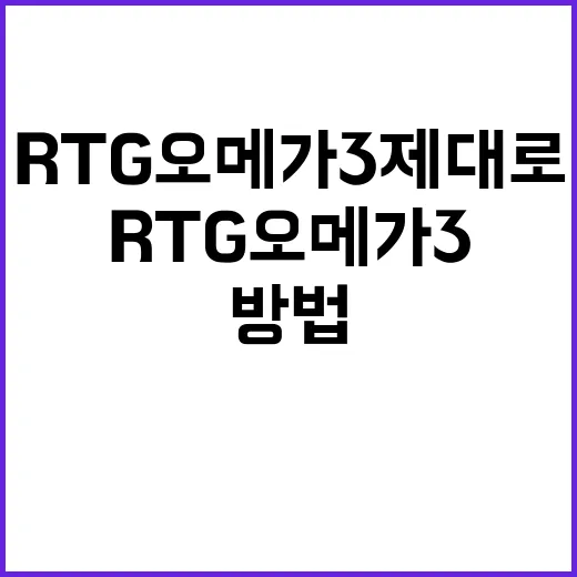 RTG오메가3, 제대로 활용하는 방법 - 요약