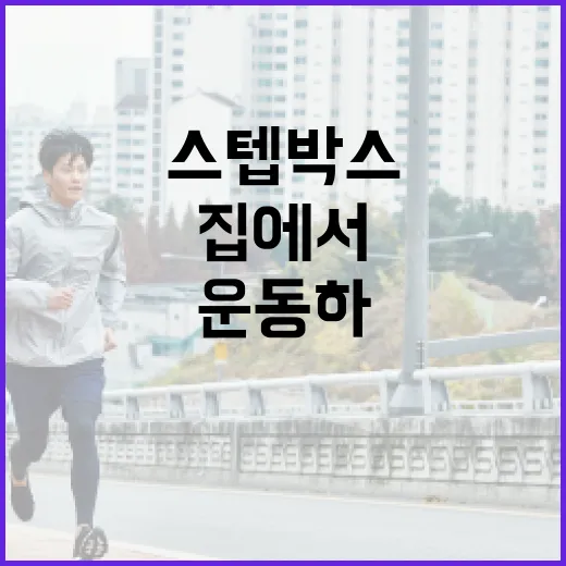 스텝박스 운동으로 집에서 쉽게 운동하는 방법 - 요약