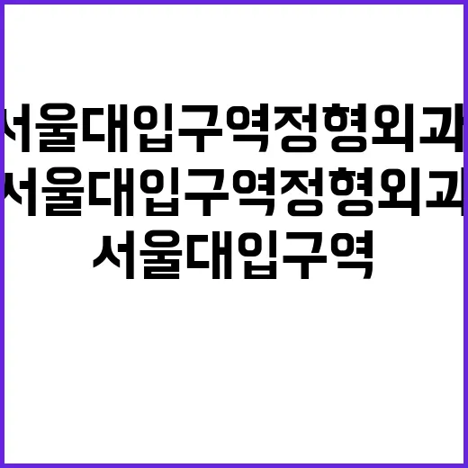서울대입구역 정형외과, 제대로 활용하는 법 - 요약