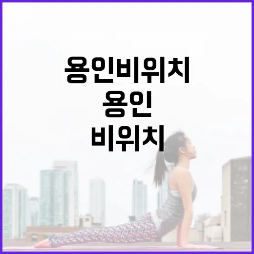 용인 비위치 확인하고 비 오는 날 동선 잡는 방법 - 요약