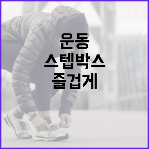 스텝박스 운동으로 건강하게, 즐겁게 운동하기 - 요약