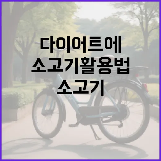 다이어트에 꼭 맞는 소고기 활용법 - 요약