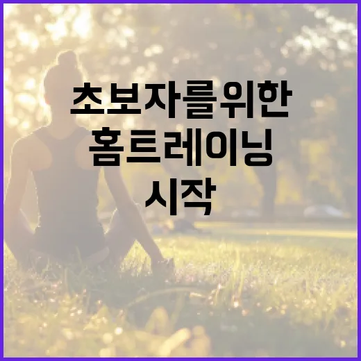 홈트레이닝으로 건강하게! 초보자를 위한 쉬운 시작 방법 - 요약