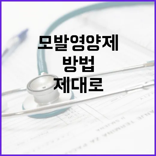 모발영양제를 제대로 활용하는 방법 - 요약