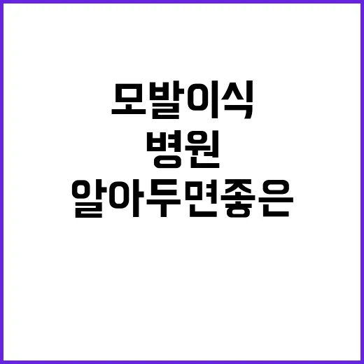 모발이식병원 선택 시 알아두면 좋은 팁 - 요약