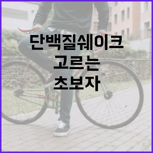 단백질쉐이크추천, 초보자가 실패 없이 고르는 방법 - 요약