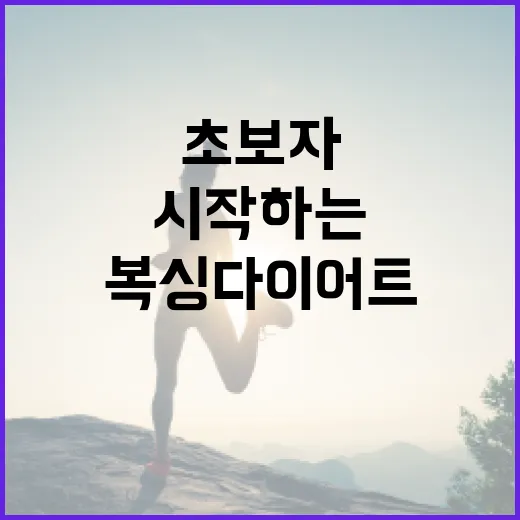 복싱다이어트 초보자가 무리 없이 시작하는 방법 - 요약