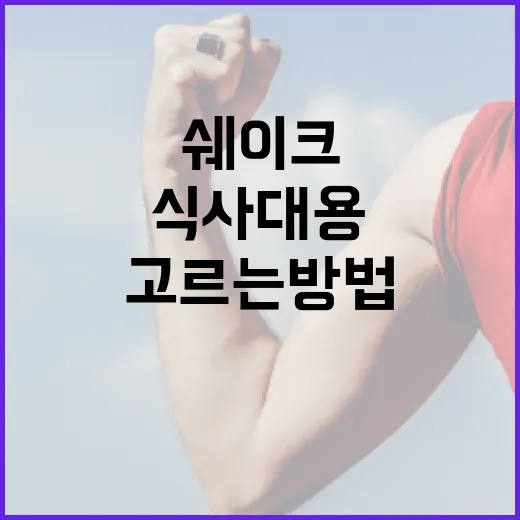 다이어트쉐이크 고르는 방법, 식사 대용으로 먹으려면 이렇게 시작하세요 - 요약