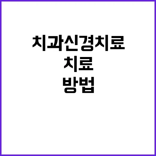 치과신경치료 덜 겁내고 준비하는 방법 - 요약