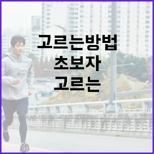 단백질도시락 고르는 방법, 초보자는 이렇게 시작하면 편해요 - 요약