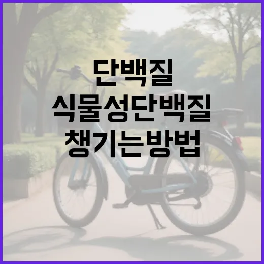 식물성단백질 제대로 챙기는 방법, 처음이라면 이렇게 시작하세요 - 요약