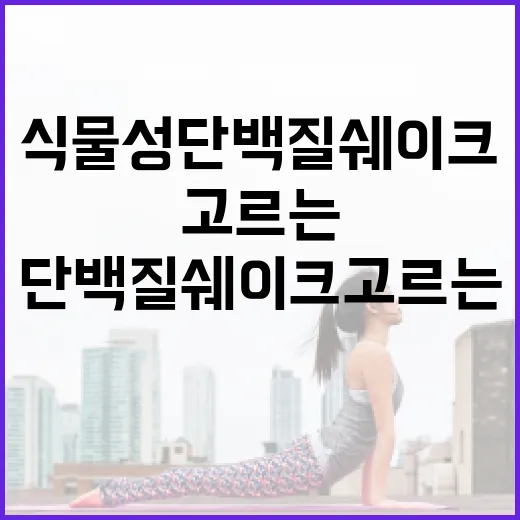 식물성단백질쉐이크 고르는 방법, 초보자라면 이렇게 시작하세요 - 요약