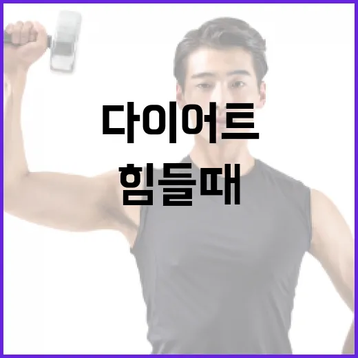 다이어트쌀 고르는 방법, 밥 양 줄이기 힘들 때 이렇게 시작하세요 - 요약