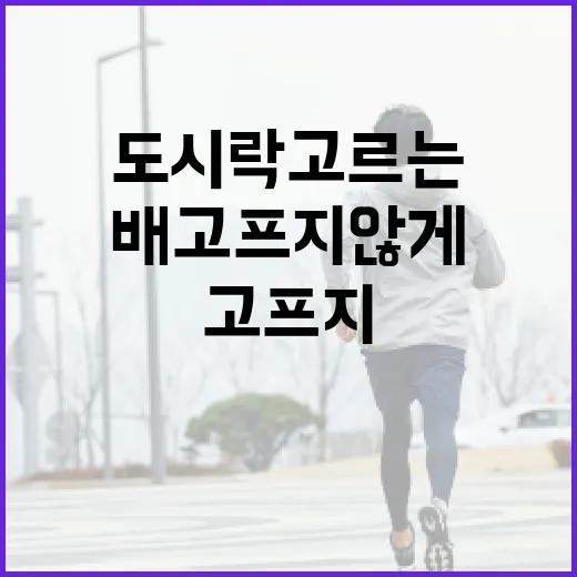 단백질도시락 고르는 방법, 배고프지 않게 챙기려면 이렇게 - 요약