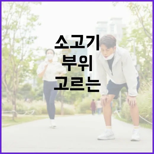 다이어트소고기 고르는 방법, 부위부터 조리법까지 이렇게 먹으면 편해요 - 요약