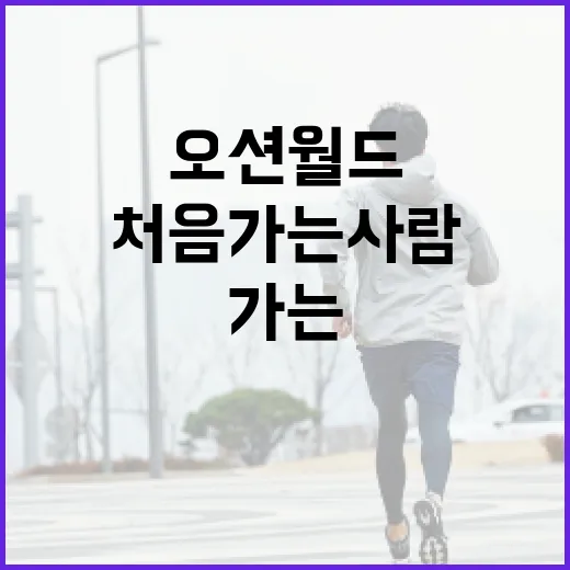 오션월드 처음 가는 사람이 덜 고생하는 방법 - 요약