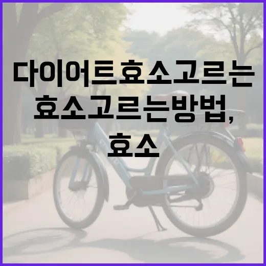 다이어트효소 고르는 방법, 광고보다 먼저 봐야 할 것들 - 요약