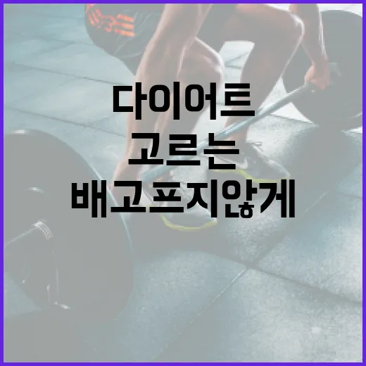 다이어트간편식 고르는 방법, 배고프지 않게 챙기려면 이렇게 - 요약
