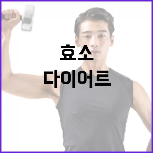 효소다이어트 시작하려면 이렇게 고르세요