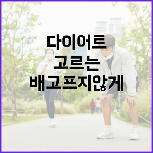 다이어트간편식 고르는 방법, 배고프지 않게 이어가려면 이렇게 - 요약