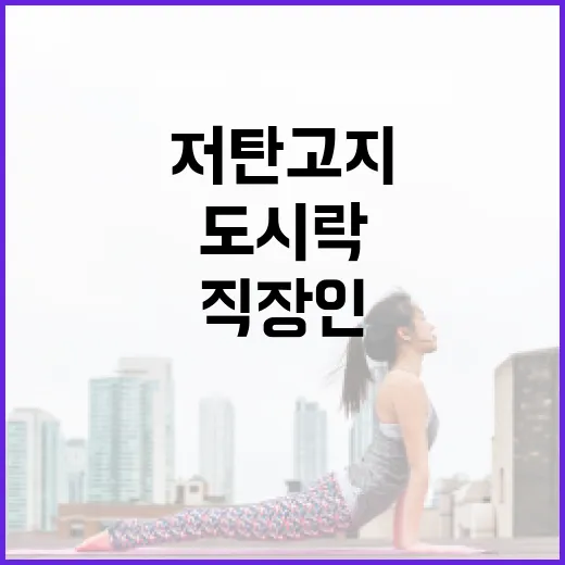 저탄고지도시락 준비하는 방법, 직장인도 질리지 않게 싸려면 이렇게 - 요약