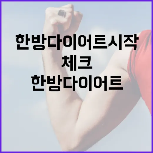한방다이어트 시작하려면 이렇게 체크하세요 - 요약