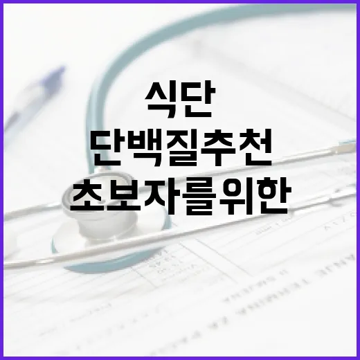 초보자를 위한 단백질추천, 내 식단에 맞게 고르는 방법 - 요약