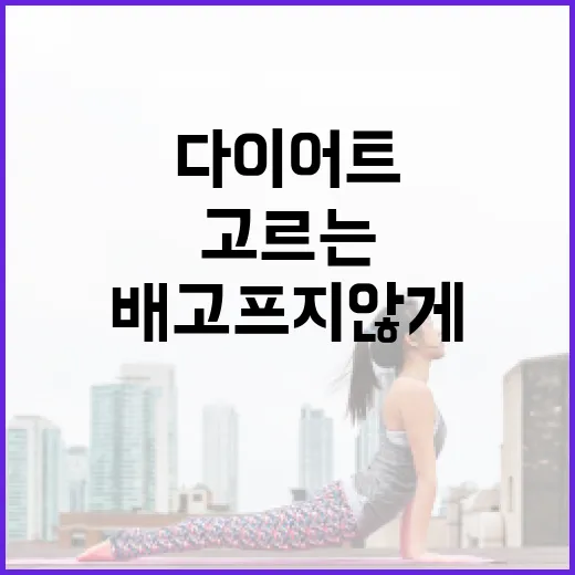 다이어트간편식 고르는 방법, 배고프지 않게 챙기려면 이렇게 - 요약