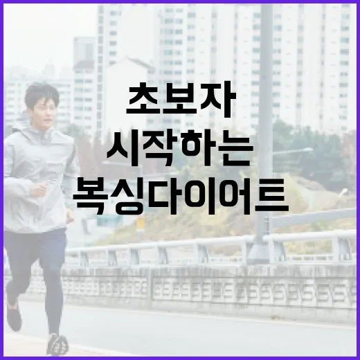 복싱다이어트 초보자가 무리 없이 시작하는 방법 - 요약