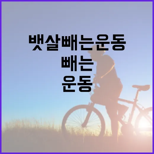 뱃살빼는운동 시작하려면 이렇게 하면 덜 지칩니다 - 요약