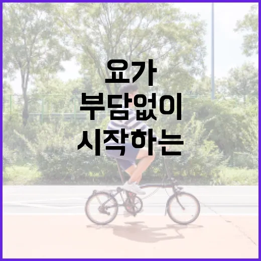 요가 처음 시작하는 방법, 집에서도 부담 없이 이어가려면 이렇게 - 요약