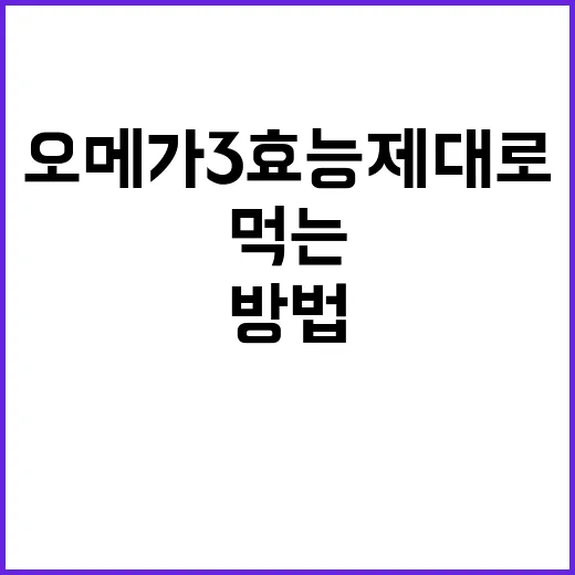 오메가3효능 제대로 챙기는 방법, 처음 먹는 사람도 헷갈리지 않게 - 요약
