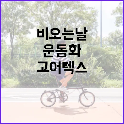 고어텍스운동화 고르는 방법, 비 오는 날 발 편하게 신으려면 이렇게 - 요약