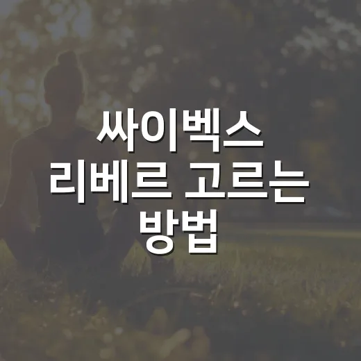 싸이벡스 리베르 고르는 방법: 여행용 유모차로 맞는지 보는 기준 - 요약
