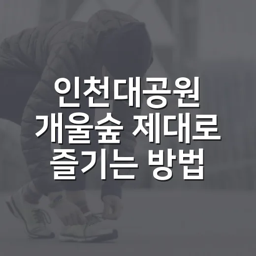 인천대공원 개울숲 제대로 즐기는 방법 - 요약