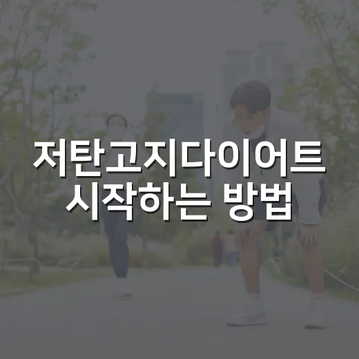 저탄고지다이어트 시작하는 방법, 초보자가 덜 흔들리려면 이렇게 - 요약