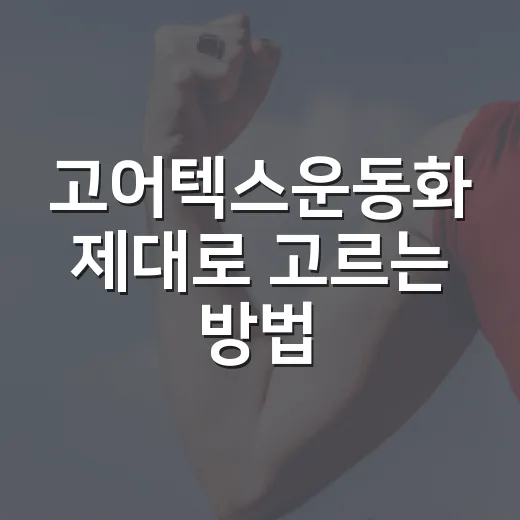 고어텍스운동화 제대로 고르는 방법, 비 오는 날 후회 줄이려면 이렇게 - 요약