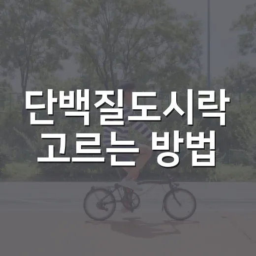 단백질도시락 고르는 방법, 배부르고 오래 가려면 이렇게 - 요약
