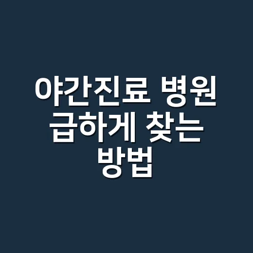 야간진료 병원 급하게 찾는 방법, 밤에 헤매지 않으려면 이렇게 - 요약