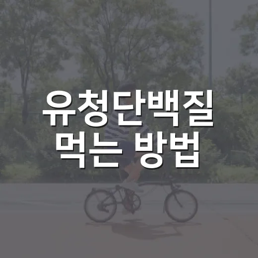유청단백질 먹는 방법, 초보자가 헷갈리지 않게 고르는 기준 - 요약